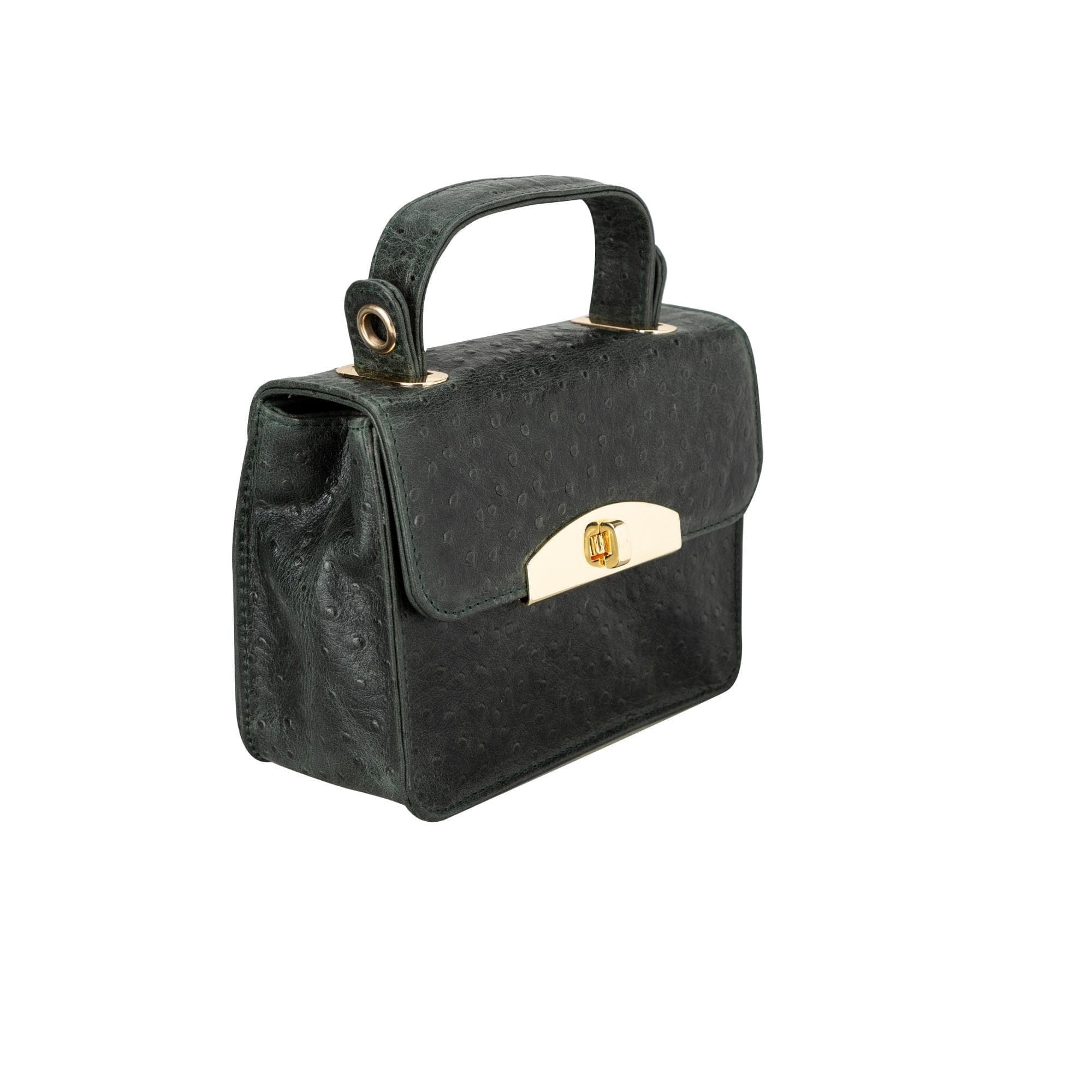 Alisha Genuine Leather Bag