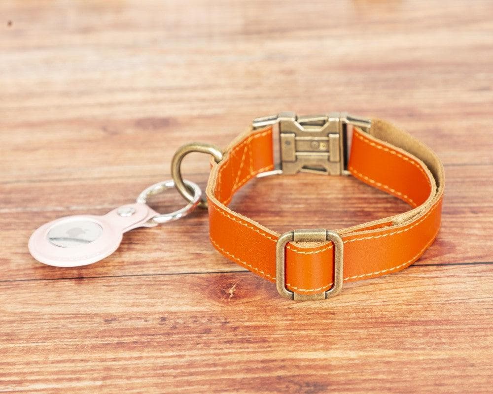Scobby Leather Dog Collar - saracleather