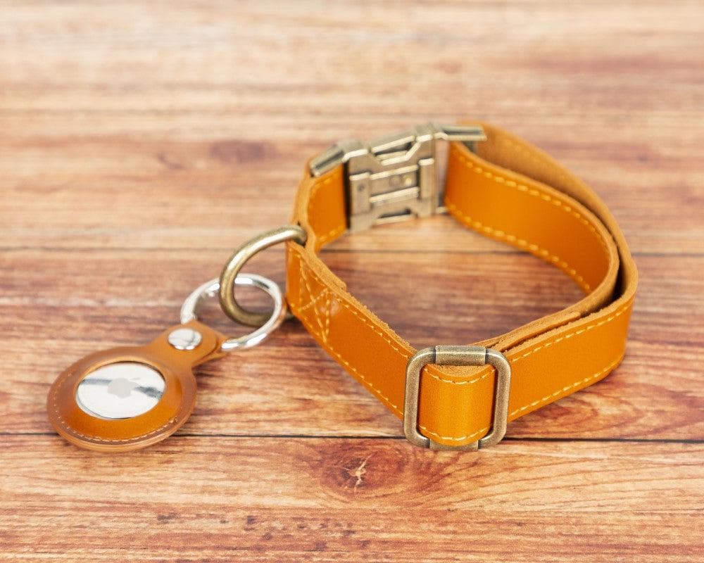 Scobby Leather Dog Collar - saracleather