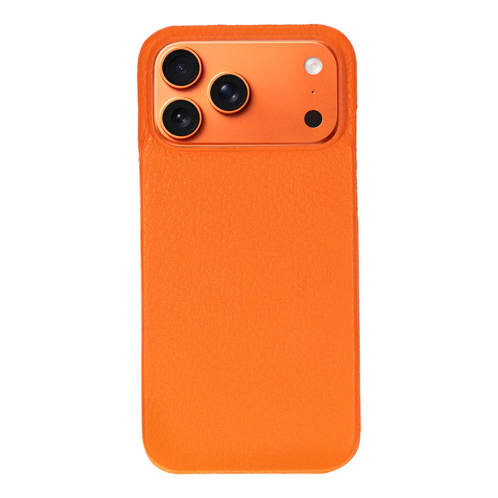 Elite Magic iPhone 17 Pro Max Leather Detachable Wallet Case