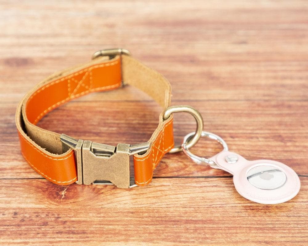 Scobby Leather Dog Collar - saracleather