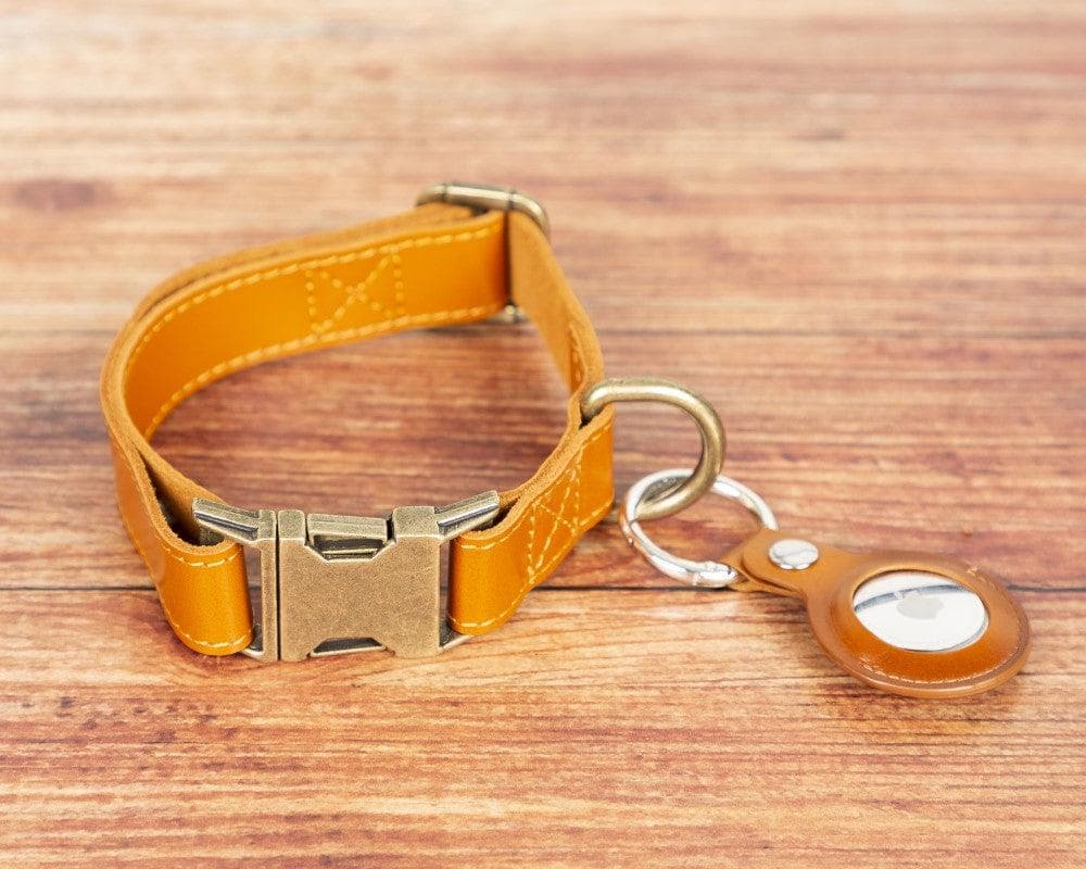 Scobby Leather Dog Collar - saracleather
