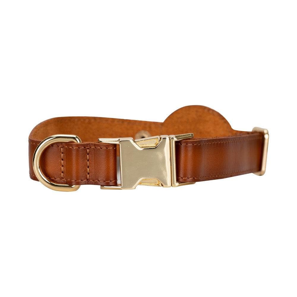 Pet Leather Collar with Apple AirTag Slot