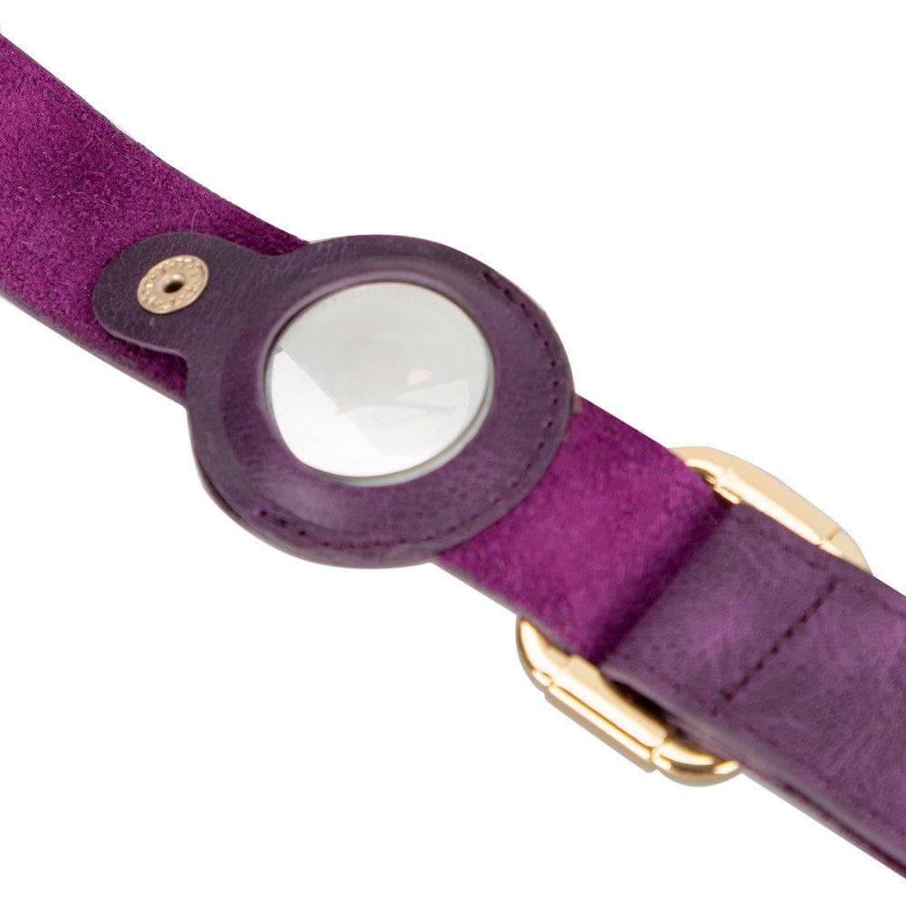 Pet Leather Collar with Apple AirTag Slot