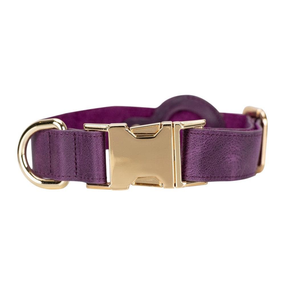 Pet Leather Collar with Apple AirTag Slot